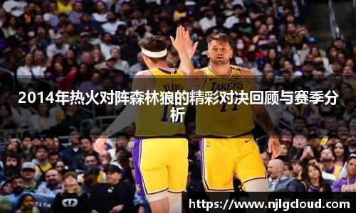 2014年热火对阵森林狼的精彩对决回顾与赛季分析